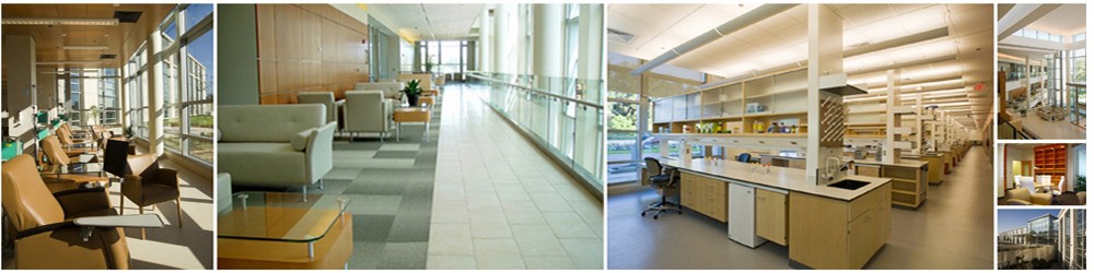 SPshowcase-MCRI Mitchell Cancer Research Institute